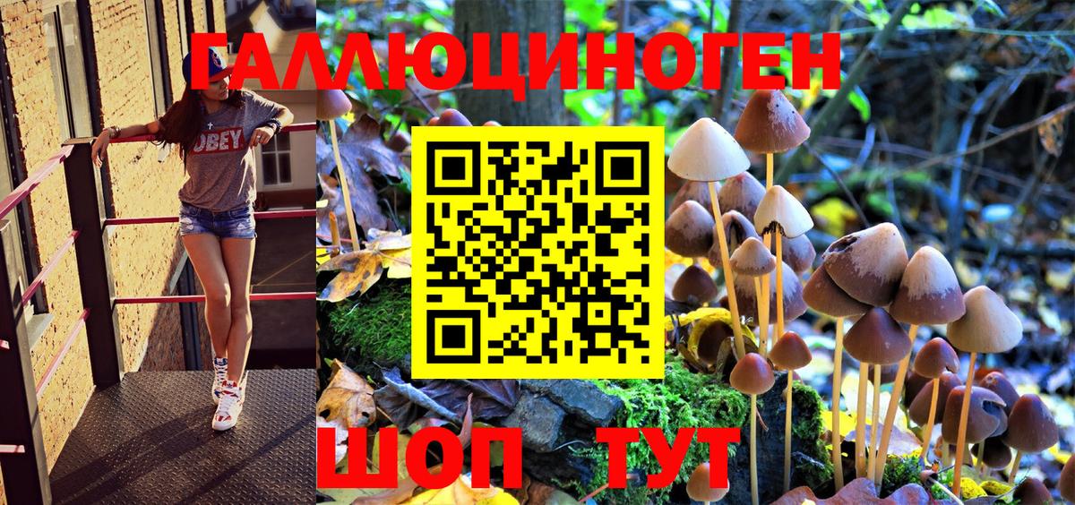 Псилоцибиновые грибы Magic Shrooms Дубна